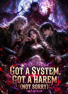 Got a System, Got a Harem (Not Sorry)